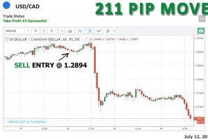 View more trades like this.